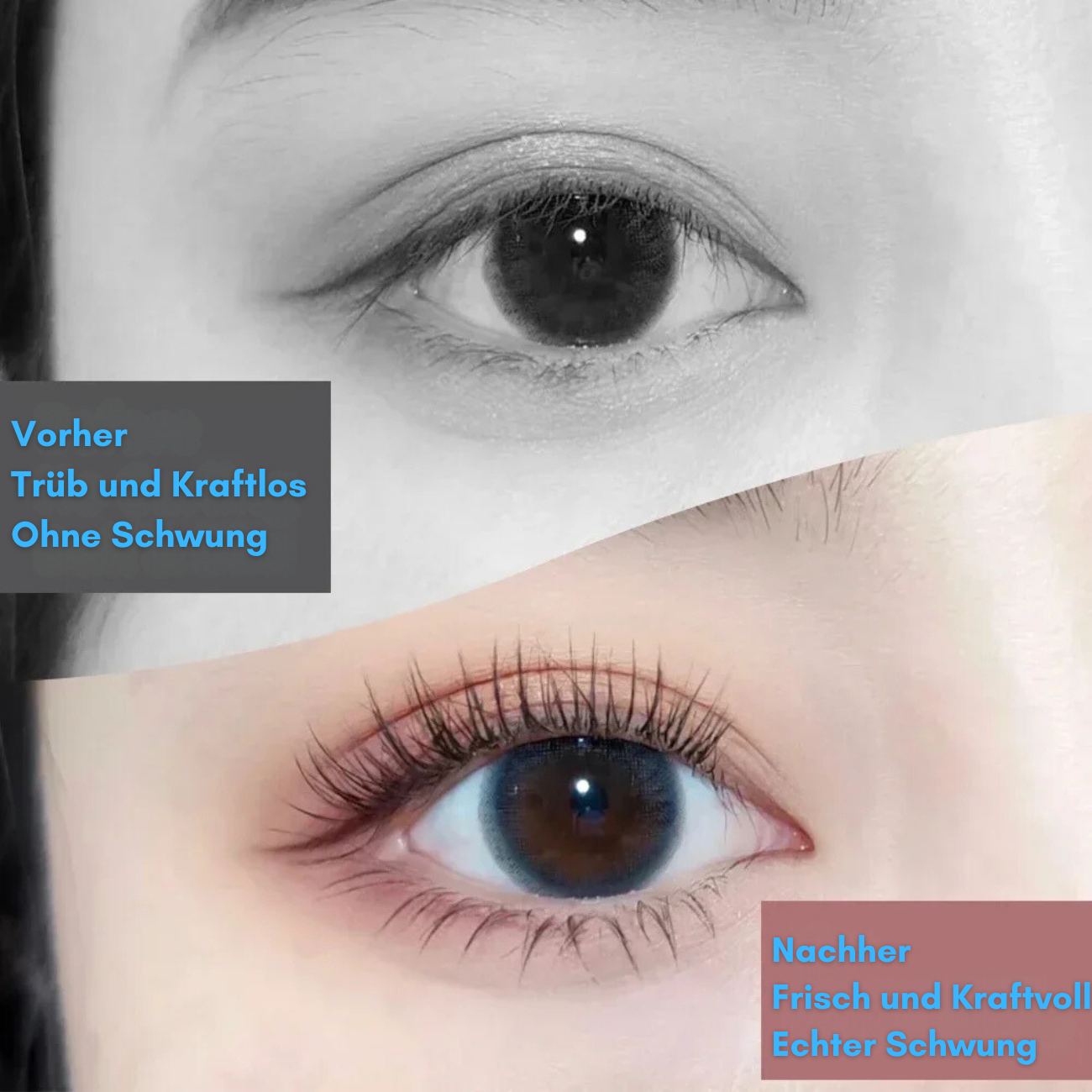 LashLift PRO